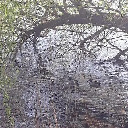 別荘 Am Schaalsee *