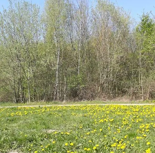 Am Schaalsee * Zarrentin am Schaalsee