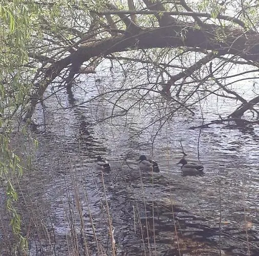 度假居 Am Schaalsee *